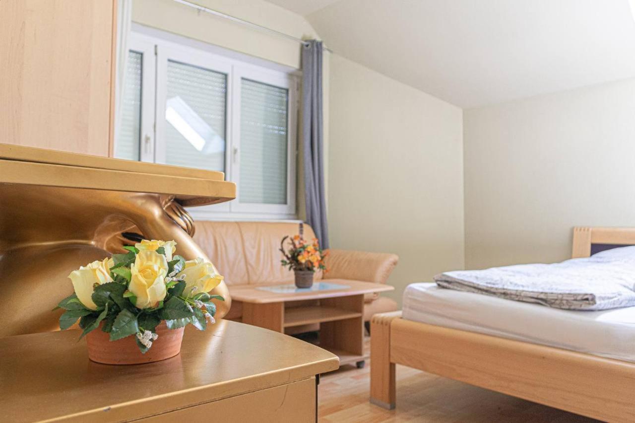 Willa X Mar 2024 Comfortable In A Beautiful House Gd Wiedeń